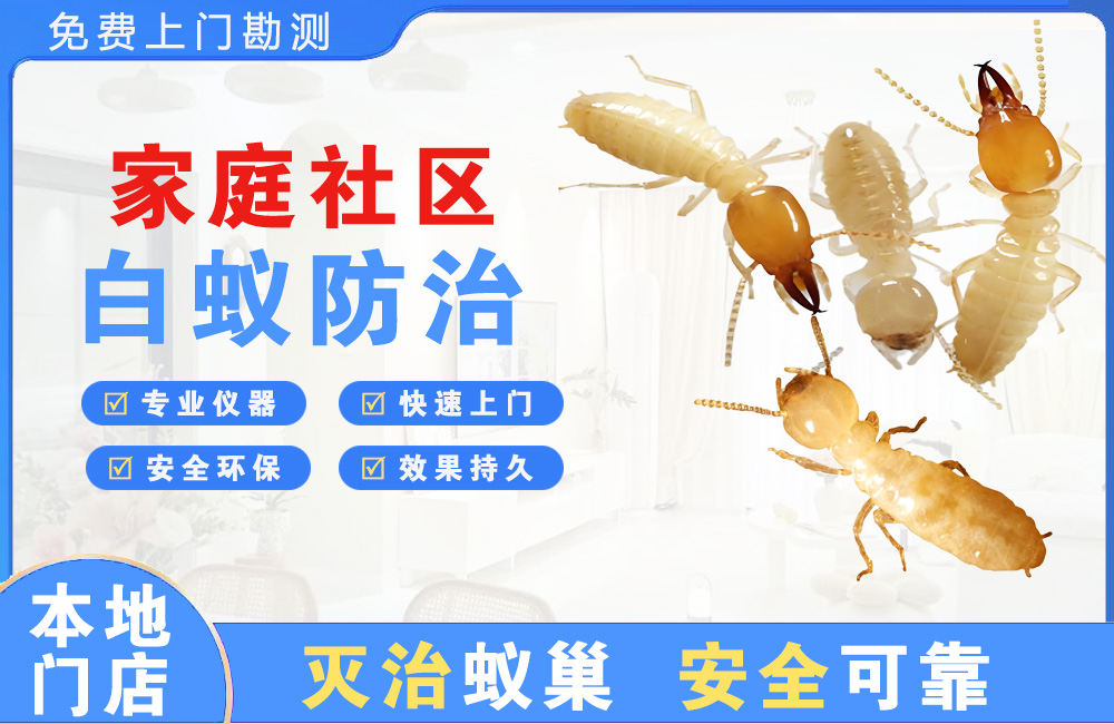 乐山家庭社区白蚁防治