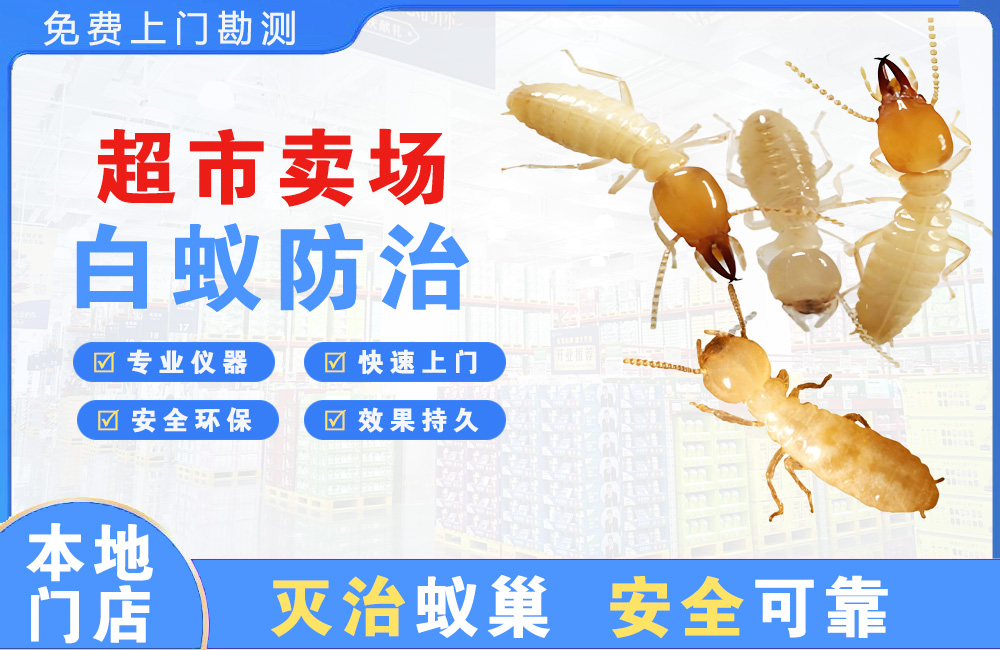 乐山超市卖场白蚁防治