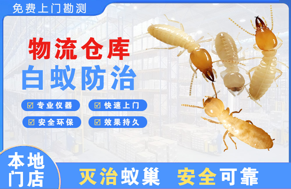 乐山物流仓库白蚁防治