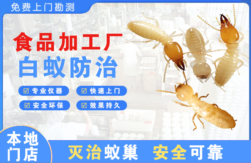 乐山食品加工厂白蚁防治
