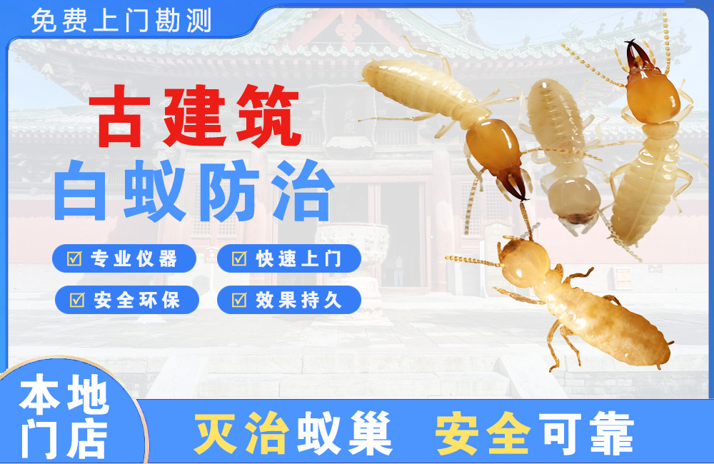 乐山古建筑白蚁防治