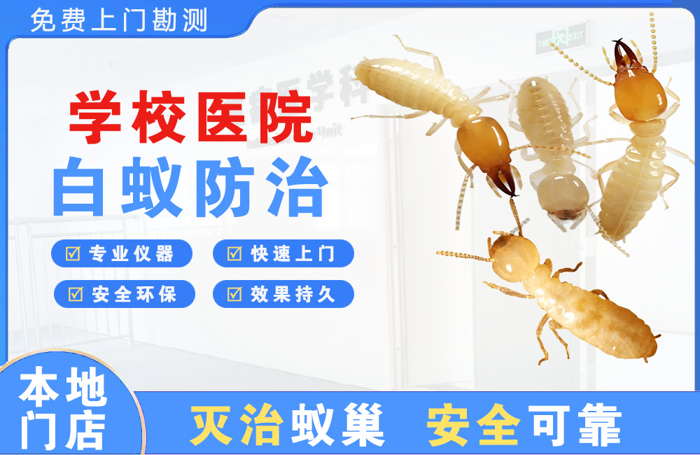乐山学校医院白蚁防治