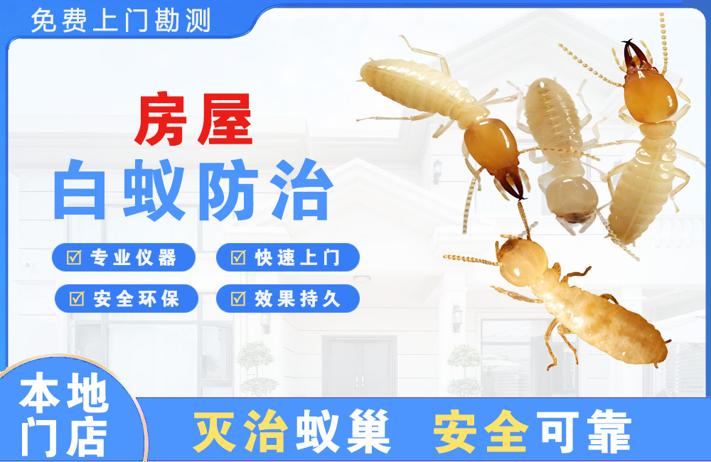 乐山房屋白蚁防治
