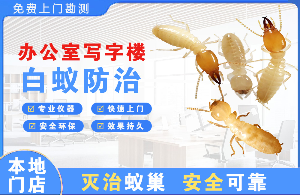 乐山办公室写字楼白蚁防治