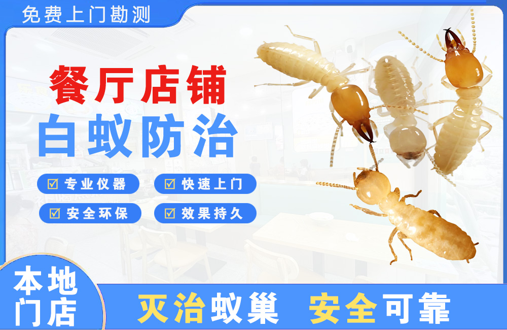 乐山餐厅店铺白蚁防治
